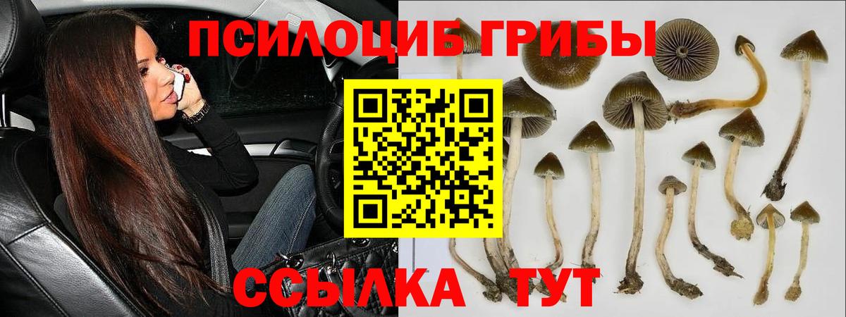 Дмитров  Псилоцибиновые грибы мухоморы  продажа наркотиков  Вход с VPN 