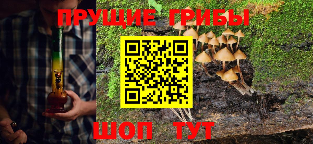 Галлюциногенные грибы Cubensis Дмитров